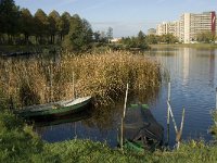 NL, Noord-Brabant, 's Hertogenbosch, De Pettelaar 3, Saxifraga-Jan van der Straaten